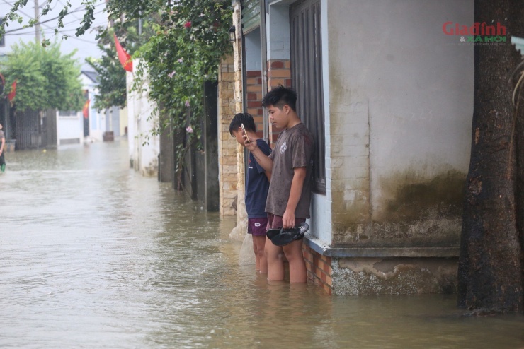 Sông Tích tràn bờ, dân ven đô Hà Nội chèo thuyền mua mì tôm, chăng lưới chắn rác trước nhà - 8