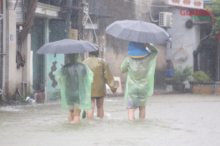 Sông Tích tràn bờ, dân ven đô Hà Nội chèo thuyền mua mì tôm, chăng lưới chắn rác trước nhà - 11