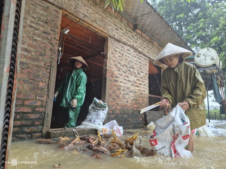 Người dân ngoại thành Hà Nội chạy lũ - 7