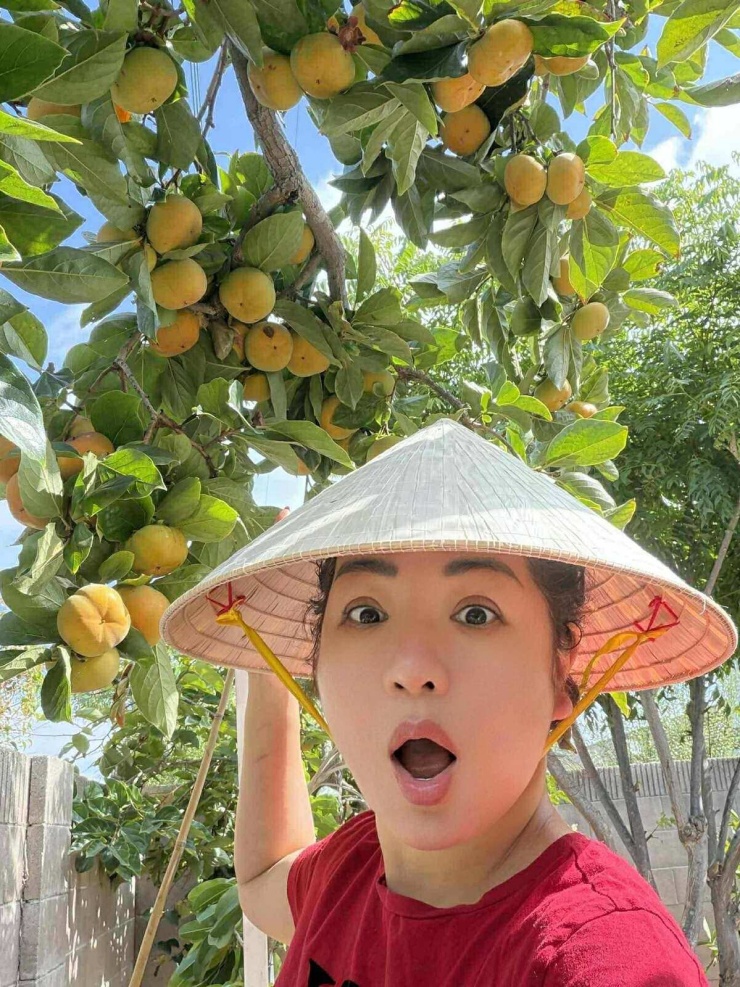 Niềm vui vườn tược của Thúy Nga ở Mỹ - 11