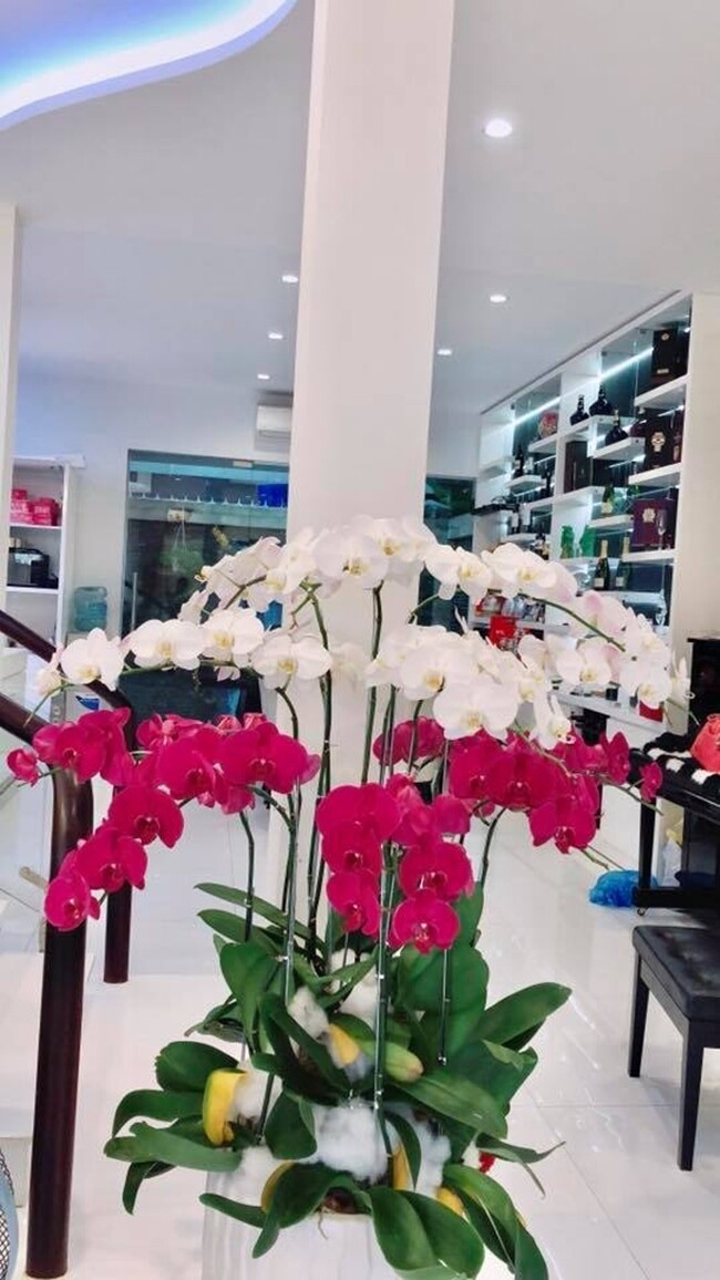 Căn nhà hiện đại với khu bếp riêng biệt, rộng rãi và chứa nhiều đồ nấu bếp thông minh.