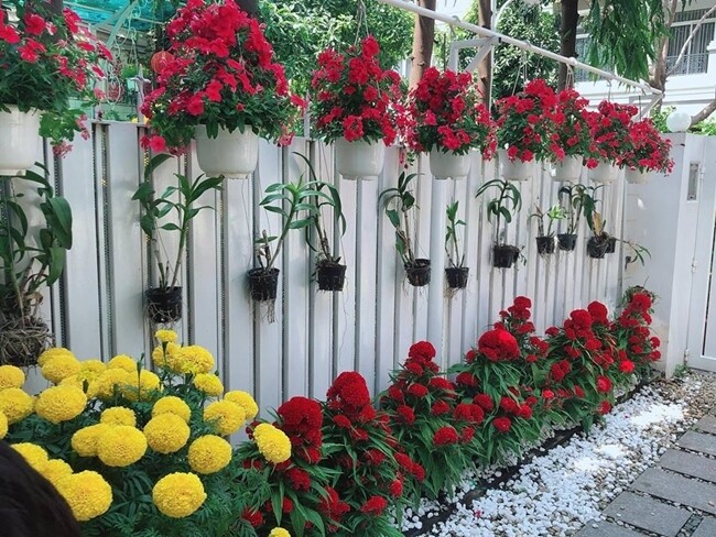 Người đẹp không ngại bỏ cả món tiền lớn để phủ không gian sống bằng vô số loài hoa như lan, cúc, hồng, ly....