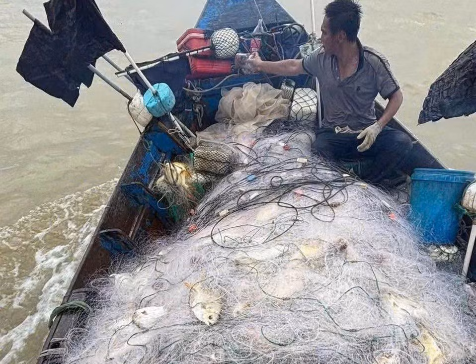 Thuyền ngư dân trúng đậm cá chim vàng.