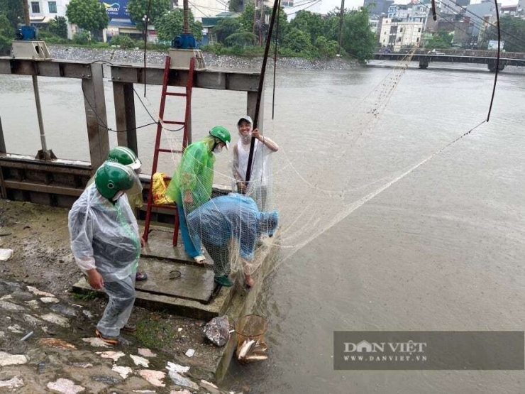 Cảnh đánh bắt diễn ra tấp nập, thu hút nhiều người đi đường. Mỗi khi lưới được cất lên nhiều cá, người dân reo hò vui vẻ.