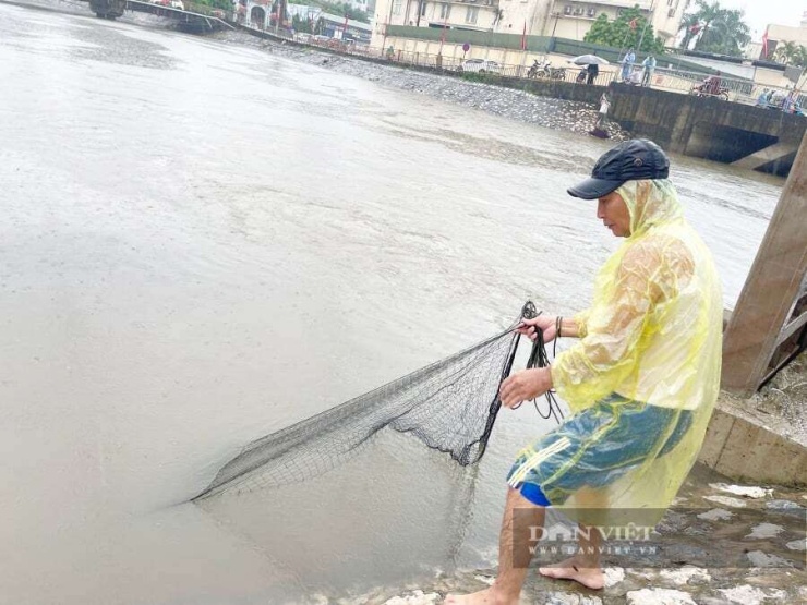 Cảnh quăng chài đánh bắt cá ngay giữa Thủ đô diễn ra tấp nập.