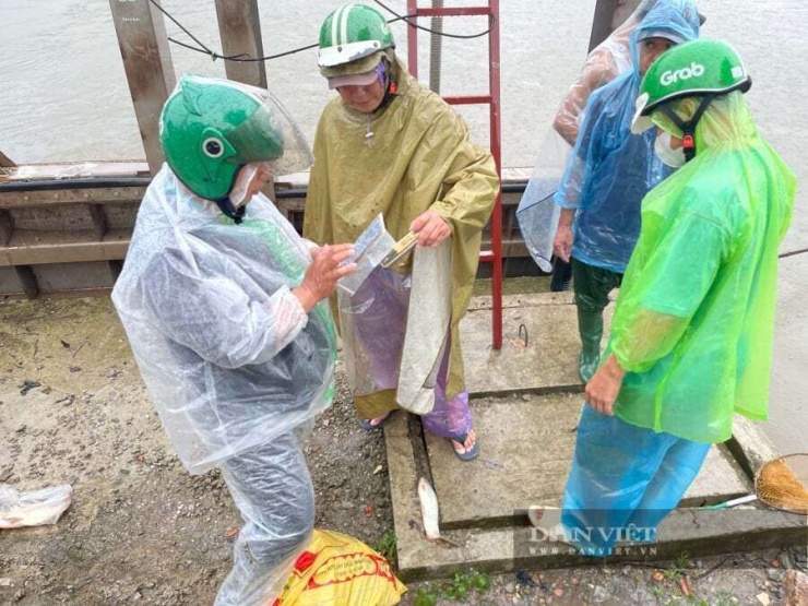 Chở hàng cho công ty đi ngang qua, anh Tiến, nhà ở phường Định Công, Hà Nội ngỏ ý mua lại số cá trên và được đồng ý. Anh vui vẻ bê bao tải cá lên xe máy chở về nhà. 