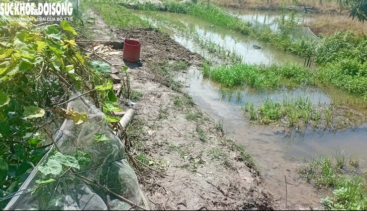 Khu vực phát hiện vợ chồng nạn nhân gặp nạn. Ảnh: Đ.Tùy.