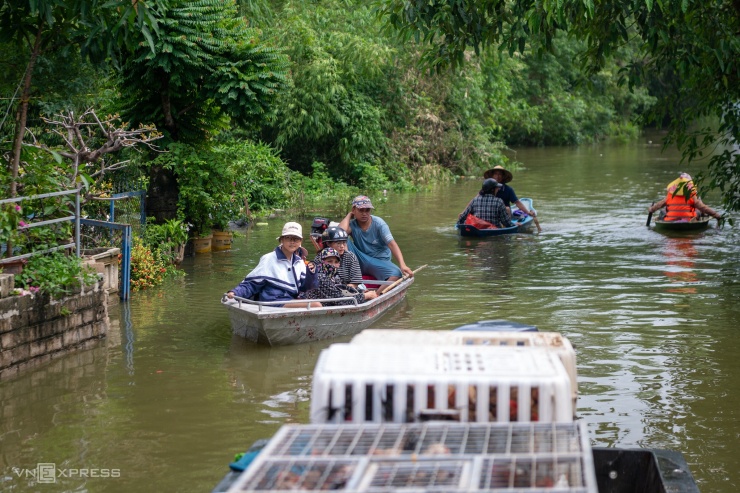 Biển nước bủa vây vùng trũng ngoại thành Hà Nội - 6
