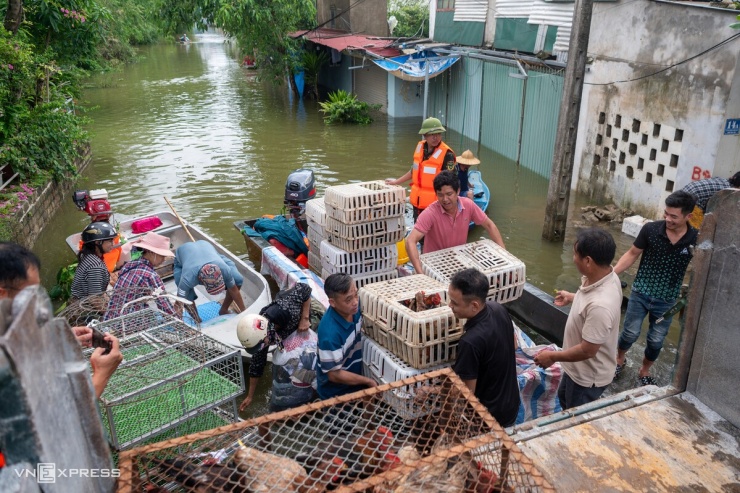 Biển nước bủa vây vùng trũng ngoại thành Hà Nội - 13