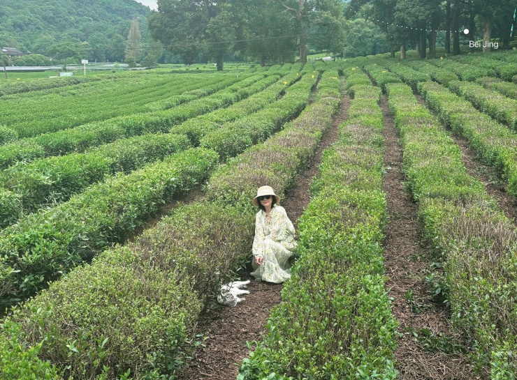 Nhịp sống chậm của 'ni cô đẹp nhất Tiếu ngạo giang hồ' - 8