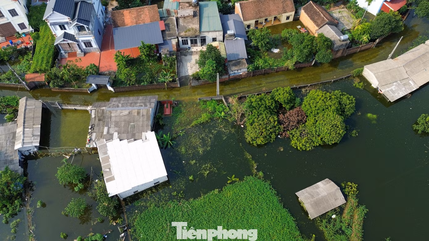 Không chỉ khu dân cư, khoảng 210 ha đất sản xuất tại Mỹ Lương cũng bị ảnh hưởng, gồm 65 ha lúa, 25 ha rau màu, 60 ha cây ăn quả và 60 ha nuôi trồng thủy sản.