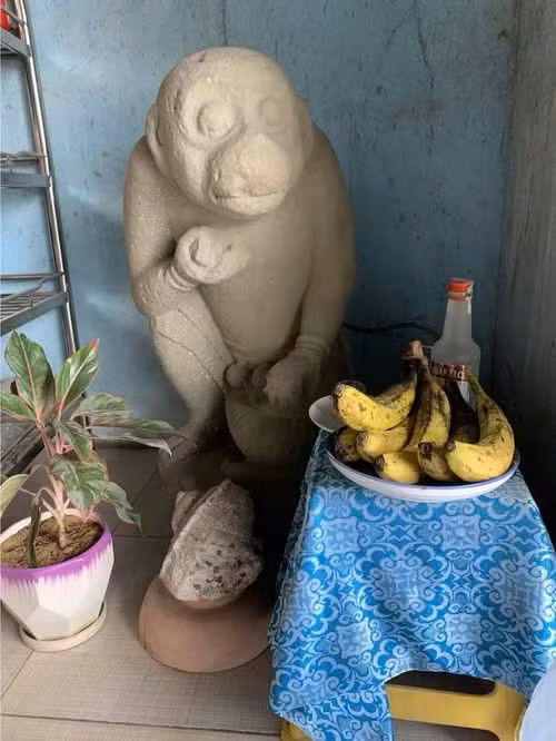 Tượng thần khỉ Hanuman được ông Lục phát hiện khi đi bắt cá.
