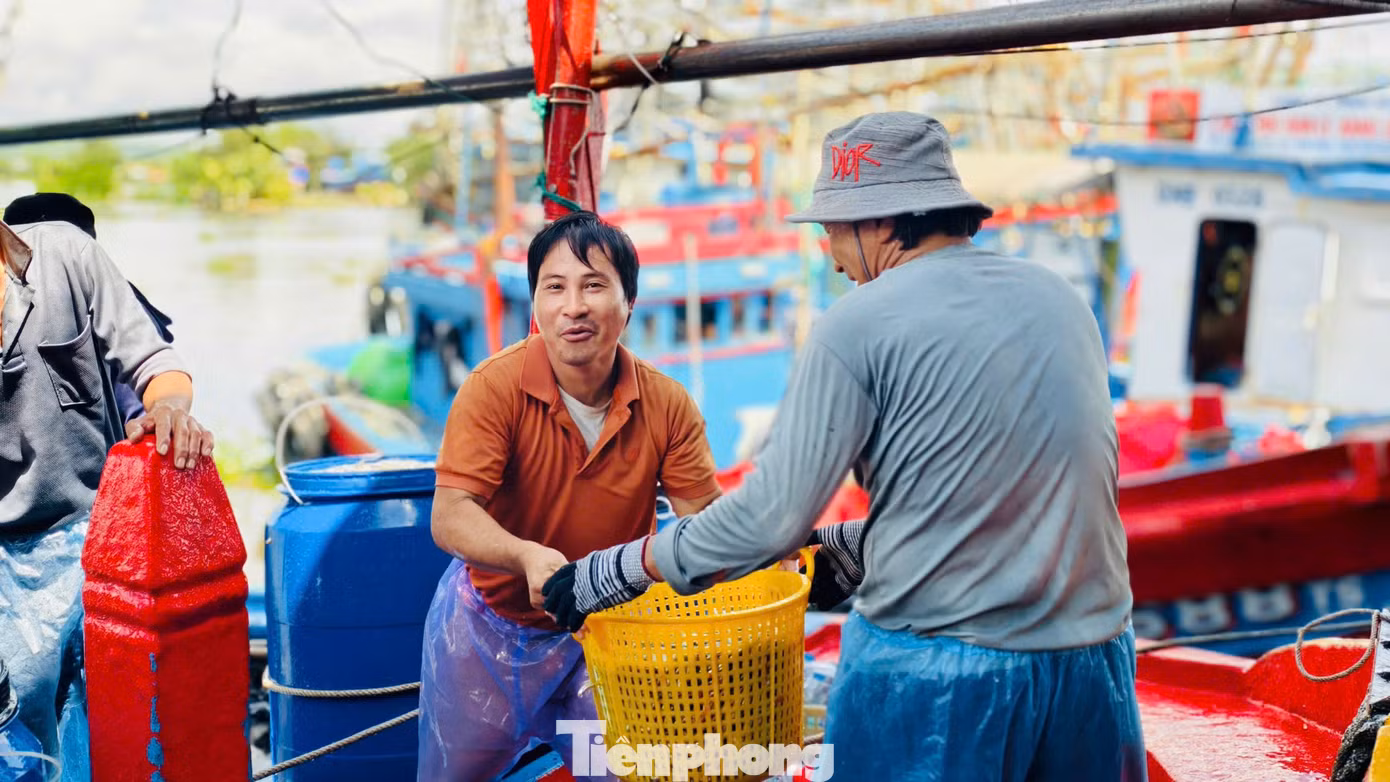 Anh Lua cho biết tàu hành nghề pha xúc, chủ yếu khai thác cá cơm nên thường xuyên di chuyển theo các luồng nước để tìm cá. Có thời điểm tàu hoạt động ở Kiên Giang, Côn Đảo, vùng biển miền Trung hoặc ra phía Bắc.
