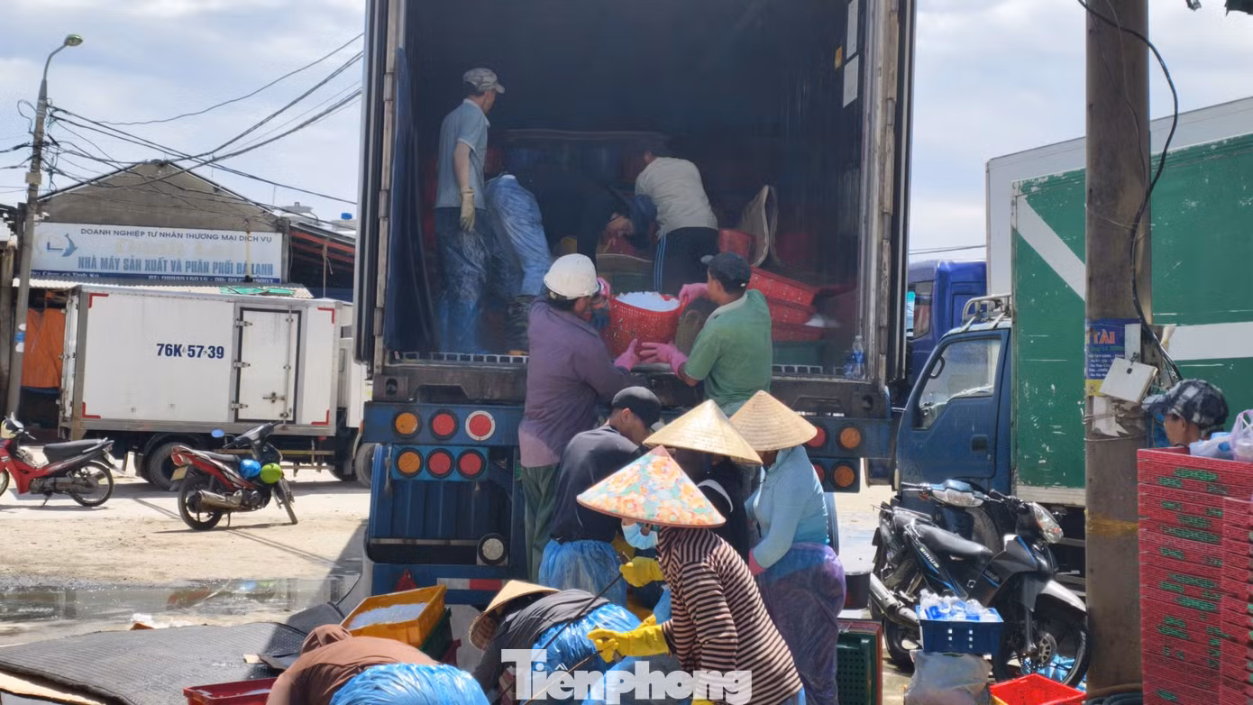 Theo các thương lái và cơ sở thu mua, cá cơm cập cảng được tiêu thụ gần như hết trong ngày. Một số được đưa đến các tỉnh lân cận để làm nguyên liệu sản xuất nước mắm, số còn lại đưa lên chợ, cơ sở hấp, phơi khô.