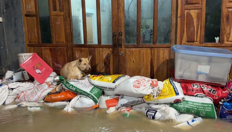 Người dân ở Rayong đắp bao cát ngăn lũ vào nhà. Ảnh: The Pattaya News