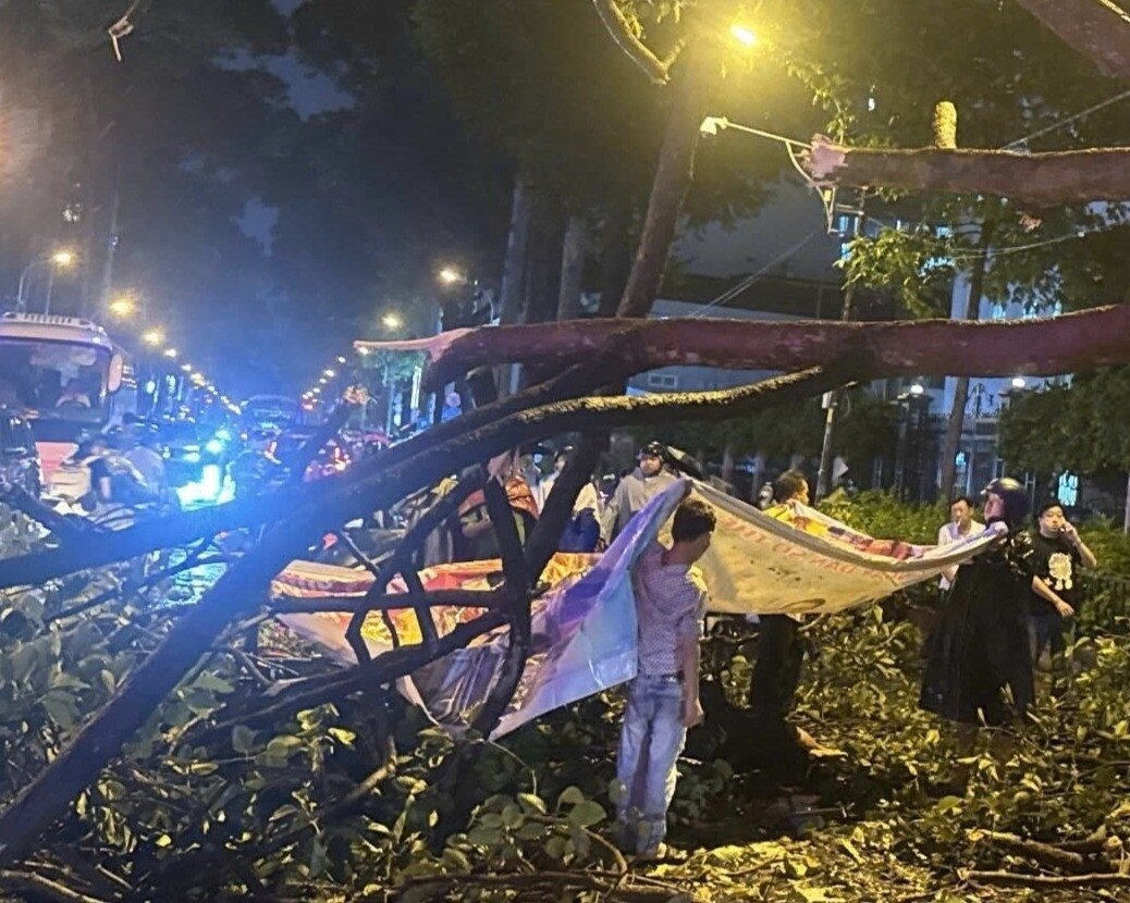 Hiện trường vụ nhánh cây đè chết người ở TPHCM tối 18/9. Ảnh: TN