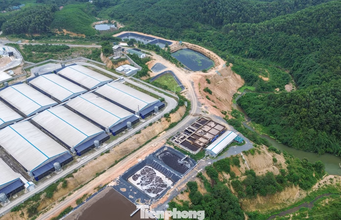 Trong hình là trang trại lợn của Công ty TNHH Công nghệ xanh G8 bị phạt 90 triệu đồng vì nước thải từ công trình xử lý rò rỉ ra cống thoát nước mưa.