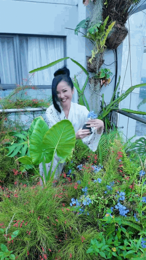 Một trong những điểm nhấn nổi bật của căn penthouse là khu vườn trên sân thượng. Không gian được Hồng Nhung chăm chút với nhiều loại cây cảnh, hoa và cây ăn trái, tạo cảm giác gần gũi với thiên nhiên giữa nhịp sống đô thị. Những tảng đá lớn được bố trí xen giữa các mảng xanh, tạo điểm nhấn tự nhiên và khiến khu vườn có nét riêng. Đây cũng là nơi nữ ca sĩ thường chia sẻ những khoảnh khắc đời thường như chăm cây, cắm hoa hay thu hoạch trái trong vườn. Khu vườn không chỉ góp phần làm mềm không gian kiến trúc mà còn tạo thêm nơi nghỉ ngơi, thư giãn ngay trong nhà. Với những căn hộ có diện tích lớn, việc dành một phần không gian cho cây xanh cũng là cách tạo sự cân bằng giữa tiện nghi hiện đại và nhu cầu gần gũi thiên nhiên.