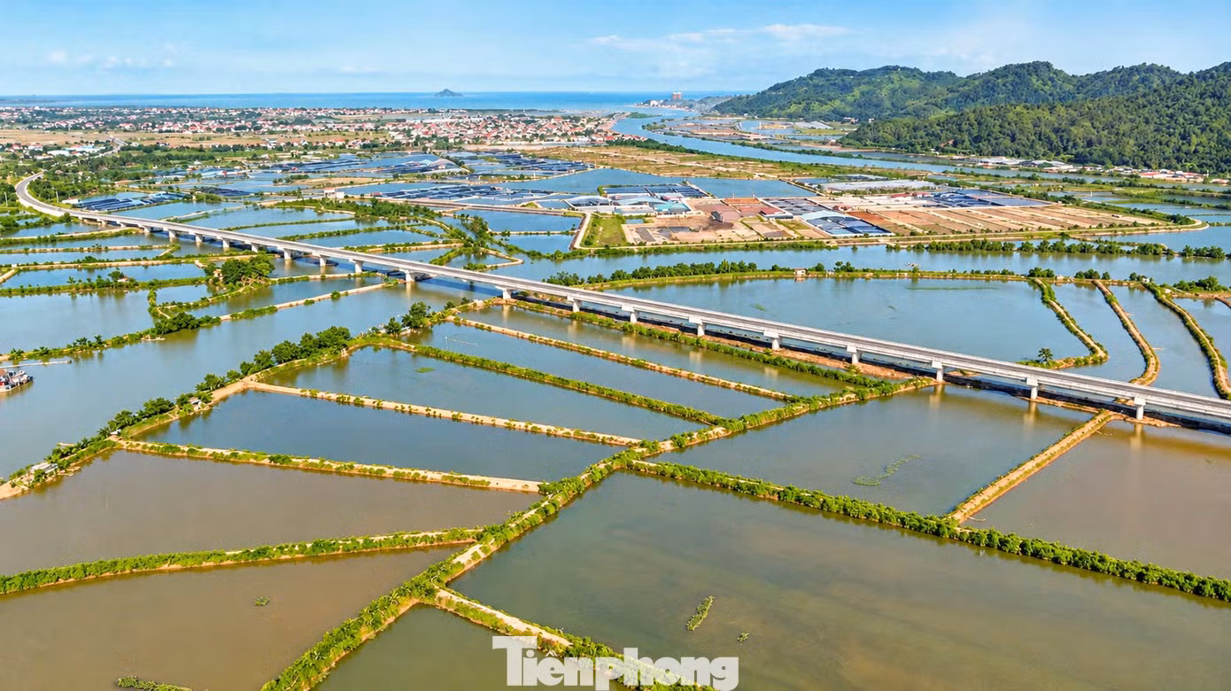 Nhìn từ trên cao, cầu Lạch Trường nổi bật giữa vùng đồng bằng ven biển với những nhịp kéo dài qua dòng sông, nối liền các khu vực bờ bãi và đầm nuôi trồng thủy sản. Phần vượt sông chỉ chiếm một phần trong tổng chiều dài công trình, phần lớn còn lại là cầu vượt cạn qua khu vực nuôi trồng thủy sản của người dân.