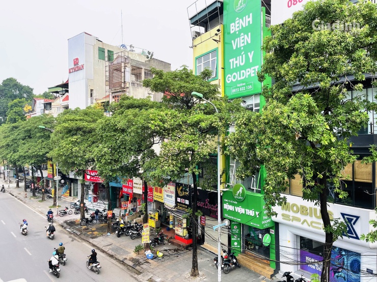 Theo Sở Xây dựng, những vị trí nhạy cảm về sức khỏe cộng đồng như khu vực quanh bệnh viện, trạm y tế, trường mầm non, trường học hay các địa bàn có nhiều phản ánh bức xúc của cử tri cũng thuộc diện xử lý khẩn cấp.