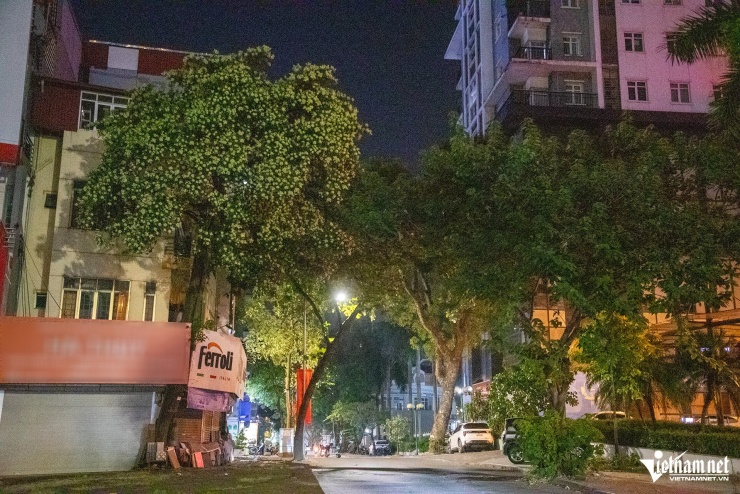 Người Hà Nội 'trăm phương nghìn kế' để ngăn mùi hoa sữa - 4