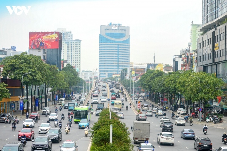 Trên nhiều tuyến phố Hà Nội như phố Nguyễn Du, Trần Duy Hưng, Linh Đàm, Hoàng Cầu…. hoa sữa được trồng dày đặc, cây càng lớn càng cho nhiều hoa.