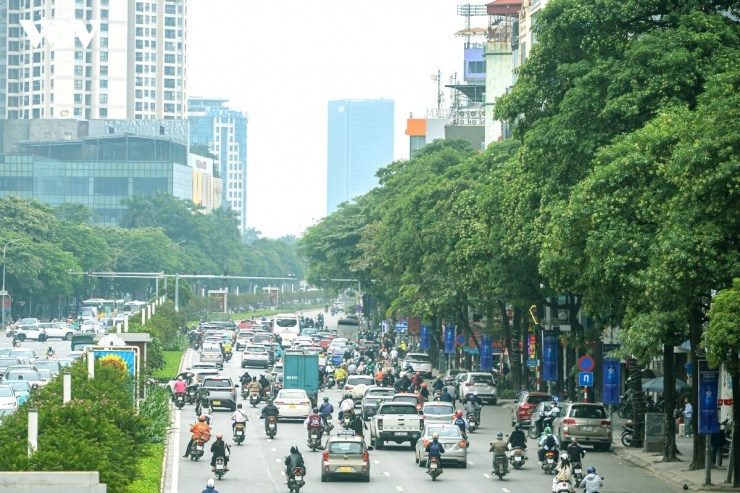 Theo thành phố, hoa sữa là nét đặc trưng của mùa thu Hà Nội, song việc trồng quá dày tại một số nơi khiến mùi hương nồng nặc khi hoa nở, ảnh hưởng đến sinh hoạt và chất lượng sống.