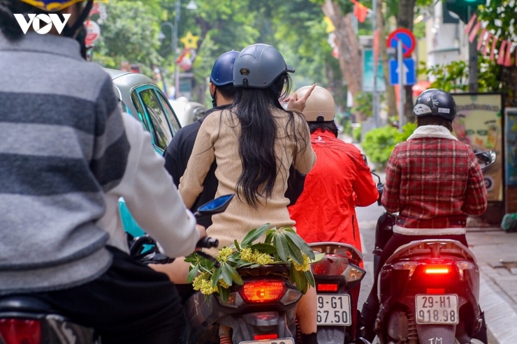 Dù mùi hoa sữa khá nồng khi cây được trồng dày đặc, nhiều người cho rằng, nếu phân bổ hợp lý, loài cây này vẫn có thể tạo hương thơm dễ chịu. Tuy nhiên, phương án thay thế hoa sữa bằng các loại cây khác tại Hà Nội cũng nhận được sự ủng hộ, với mong muốn lựa chọn những giống cây phù hợp, góp phần bảo đảm cảnh quan và môi trường đô thị xanh, sạch, đẹp.
