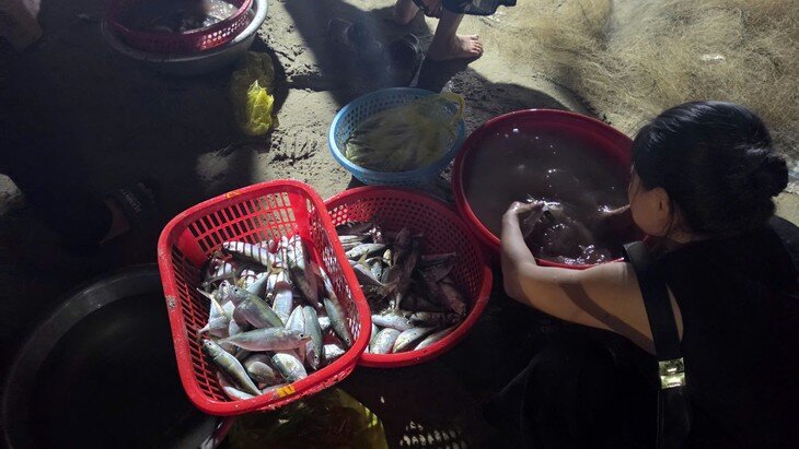 Ngư dân Hà Tĩnh trúng đậm cá bạc má - 6