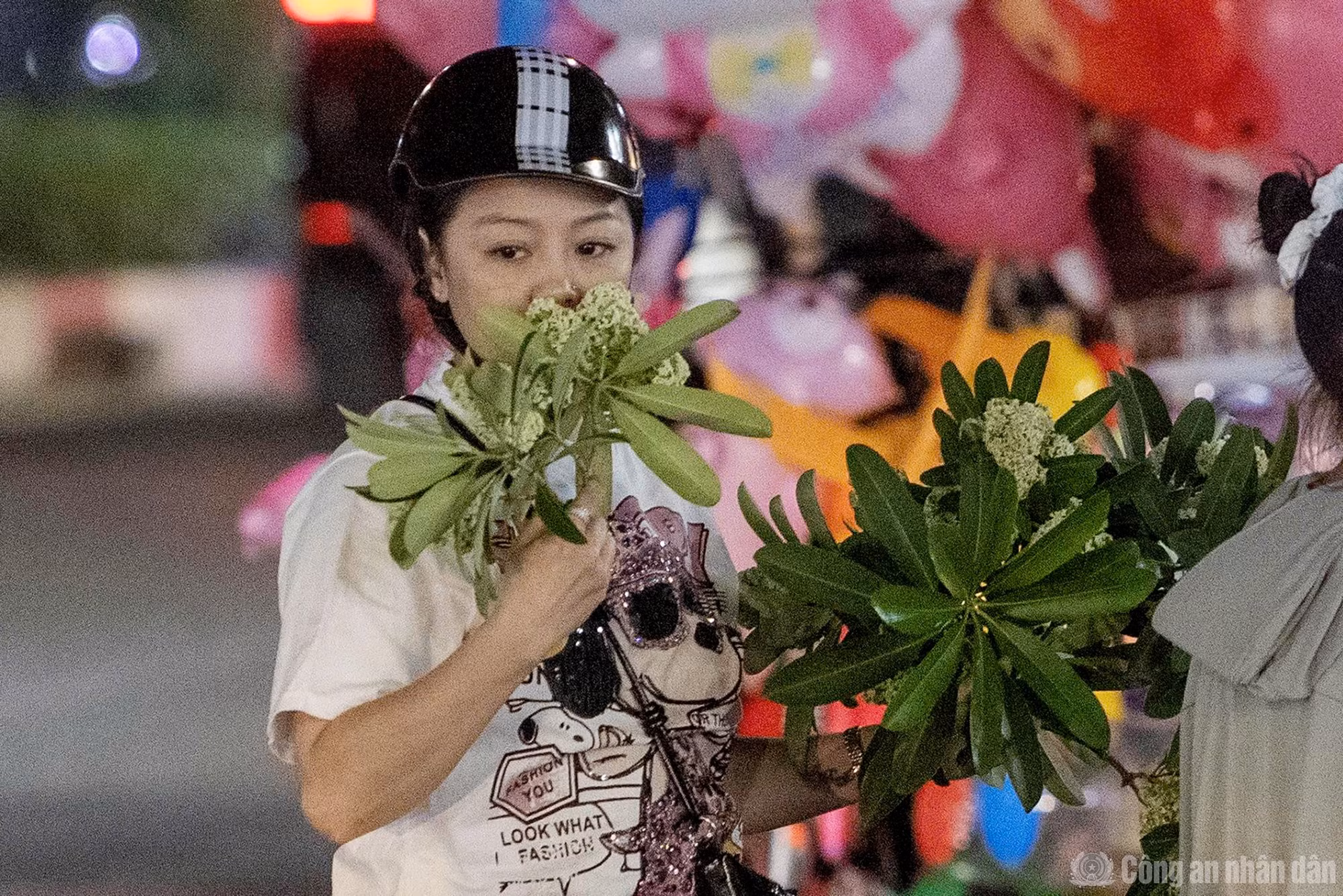 Công nhân cắt tỉa hoa sữa xuyên đêm - 7