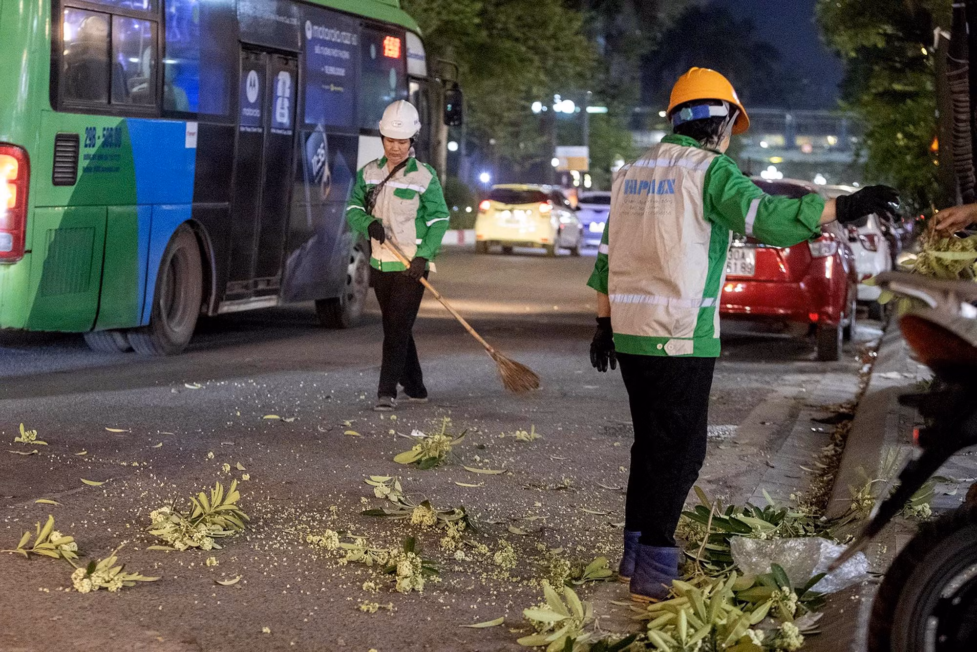 Nói về hoa sữa, bà Hiền, một người dân trên phố Tân Mai chia sẻ, mùi hoa nồng nặc, gây khó chịu nhất là vào đêm khuya nên việc cắt tỉa bớt là rất hợp lý.