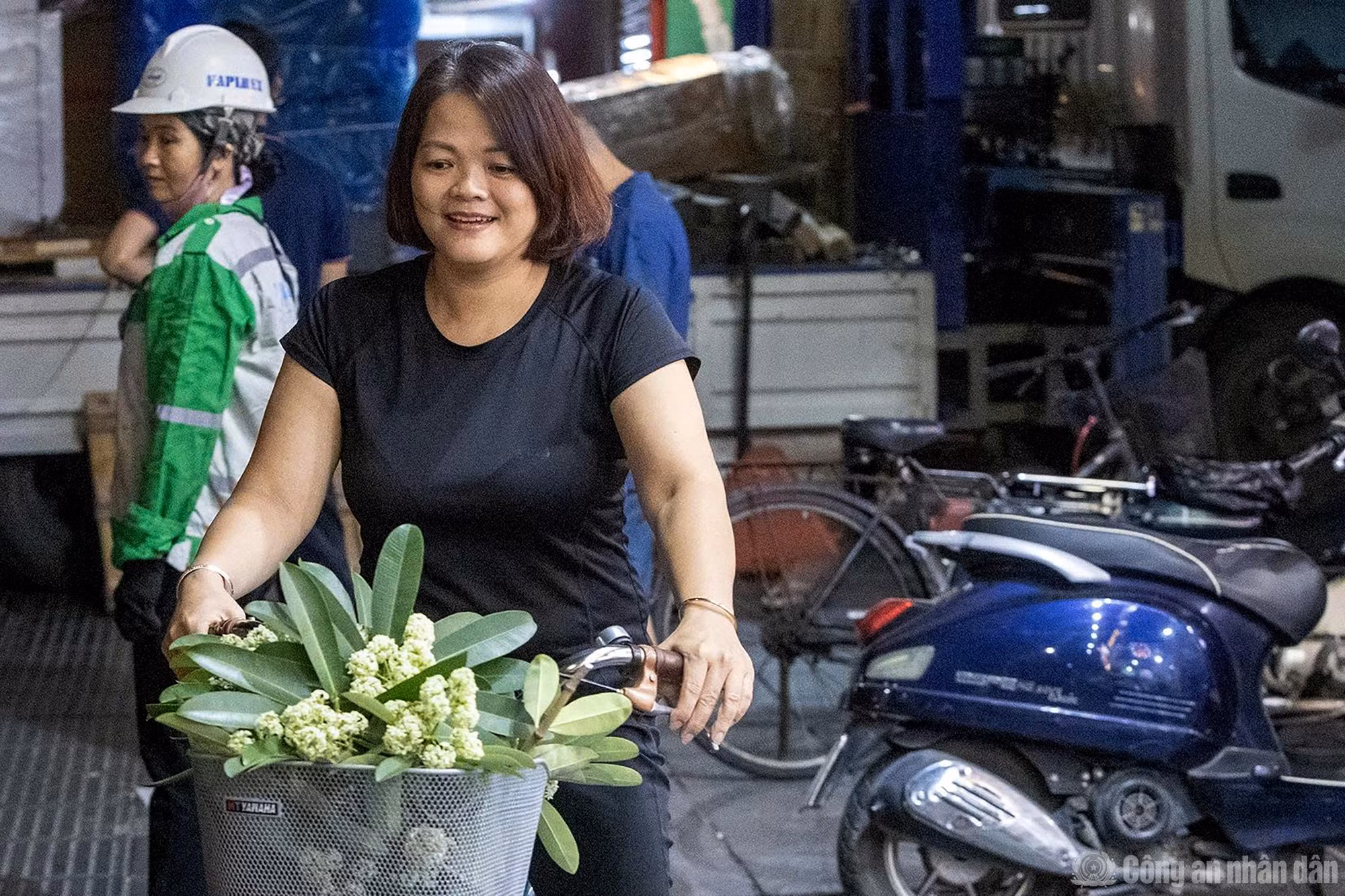 Công nhân cắt tỉa hoa sữa xuyên đêm - 8