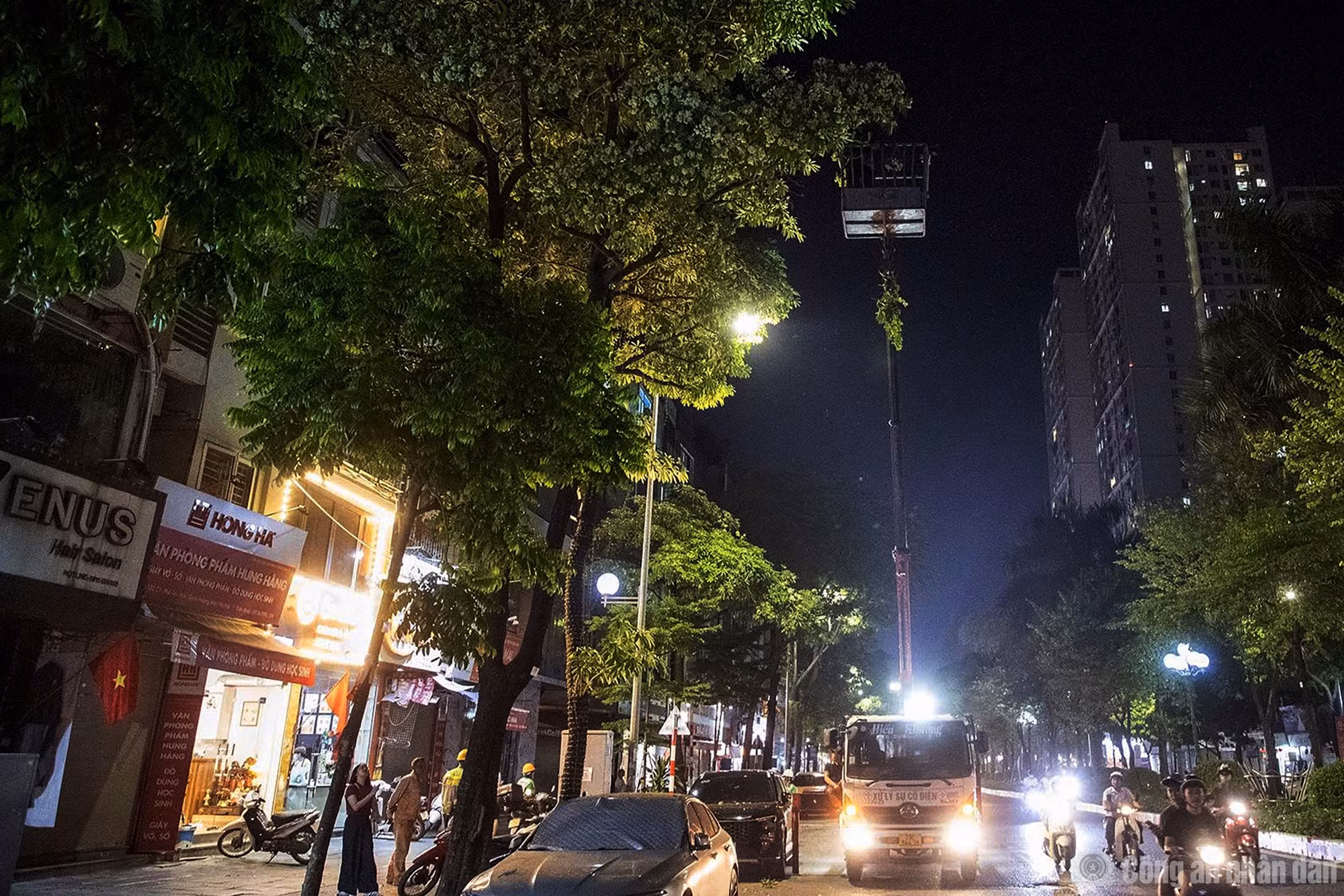 Công nhân cắt tỉa hoa sữa xuyên đêm - 11