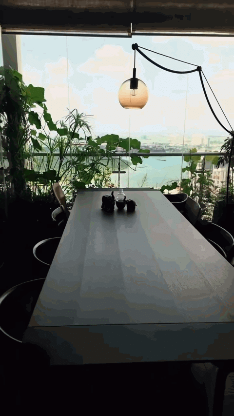 Cách bài trí không quá đơn điệu mà có sự đan xen giữa nội thất, đồ trang trí và cây xanh, thể hiện rõ cá tính của chủ nhân gắn bó lâu năm với nghệ thuật.
