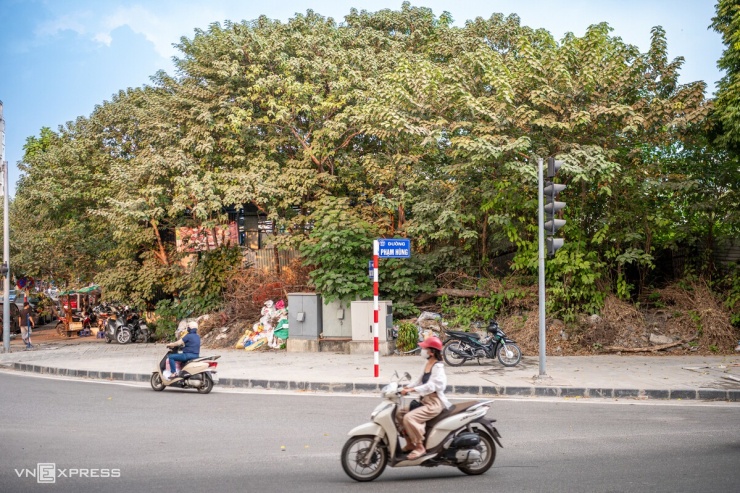 Nhiều loại cây cấm trồng hiện diện trên đường phố Thủ đô - 6