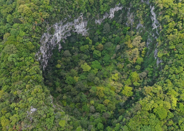 Đáy hố sụt là khu rừng nguyên sinh. Ảnh: Jungle Boss