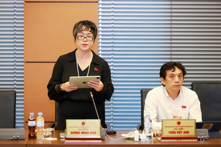 Đại biểu Quốc hội Dương Minh Ánh
