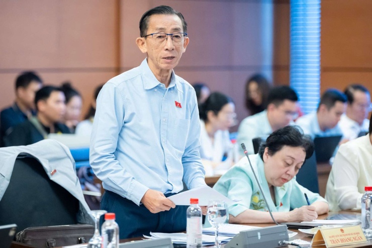 PGS, TS Trần Hoàng Ngân, Đại biểu Quốc hội TP.HCM (Ảnh: Media QH).