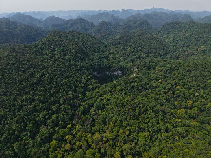 Hố sụt mới được khám phá tại khu vực rừng Chà Nòi - Khe Gát. Ảnh: Jungle Boos.