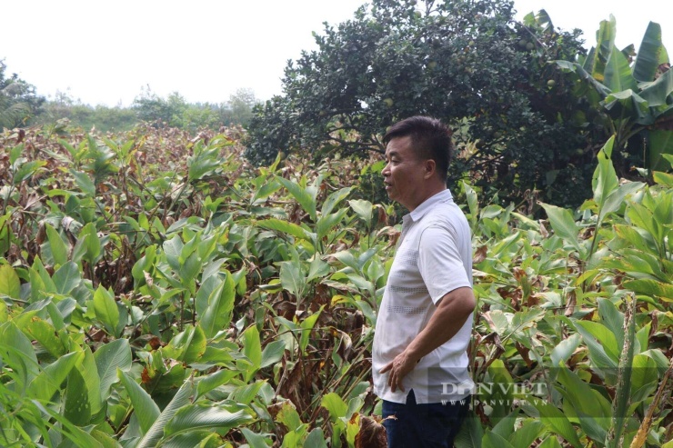 Ông Truyền cho biết, người dân nơi đây chủ yếu làm nông nghiệp. Ảnh: Gia Khiêm