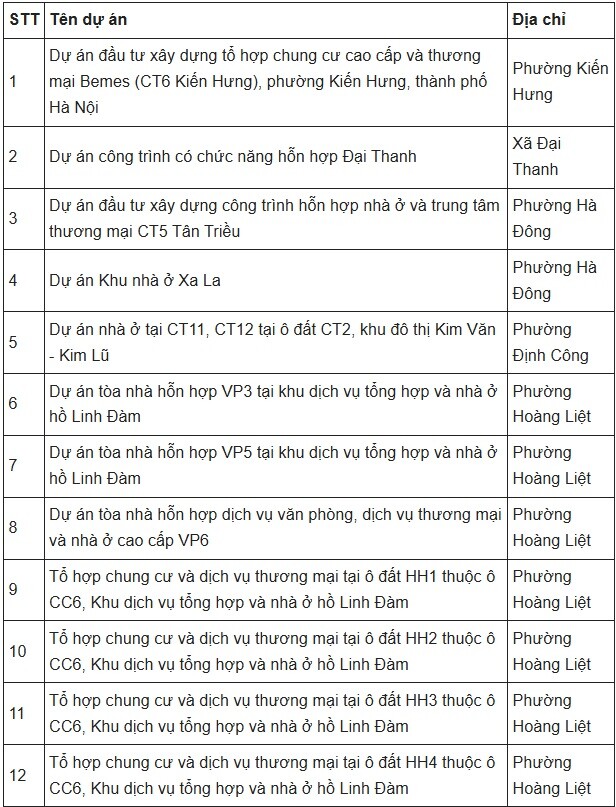 Hà Nội thông qua cơ chế xử lý 12 dự án của tập đoàn Mường Thanh - 1