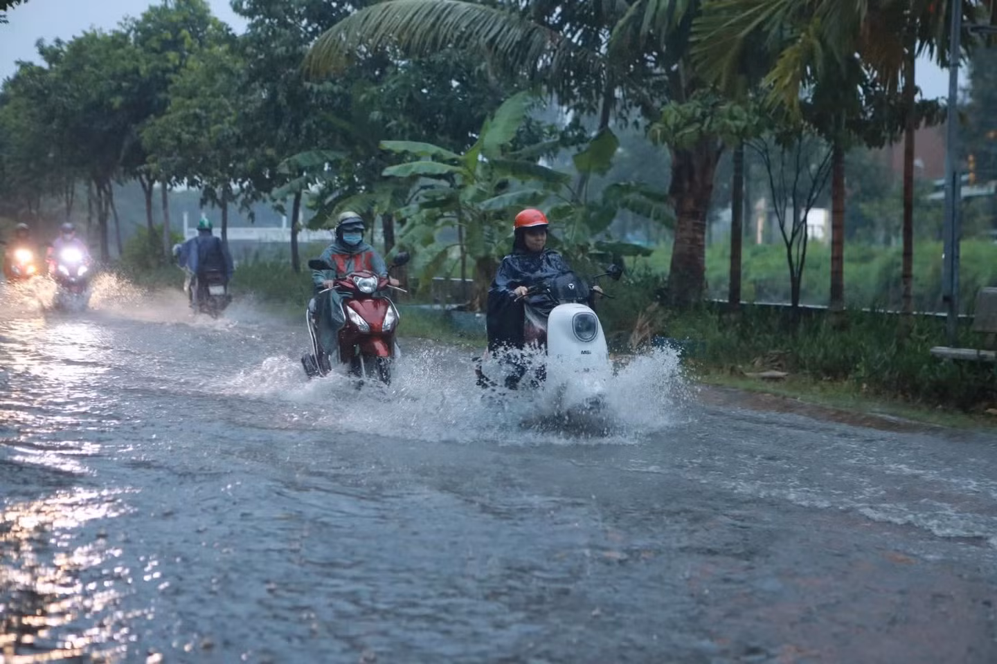 Miền Bắc nắng ráo, Nam Bộ tiếp tục mưa lớn
